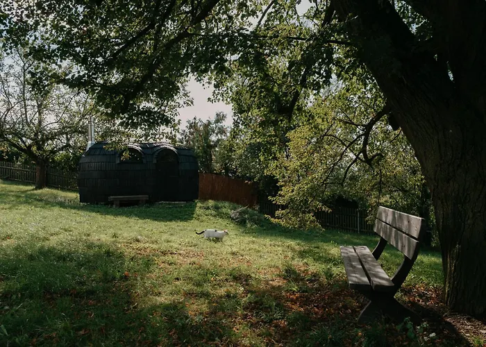 Stall & Sterne - In Der Scheune * Hirschfeld (Zwickau)