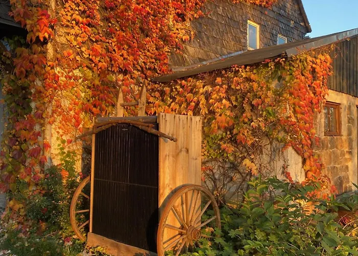 Stall & Sterne - In Der Scheune *